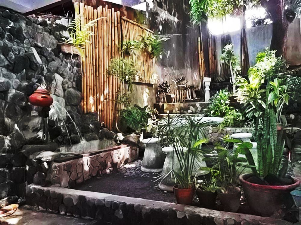 Balay De La Rama Bed & Breakfast Легазпи Екстериор снимка